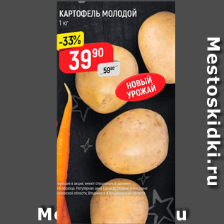 Акция - Картофель молодой