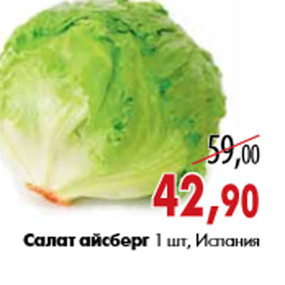 Акция - Салат айсберг