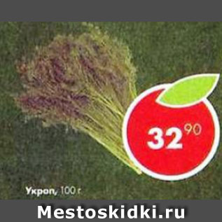 Акция - укроп