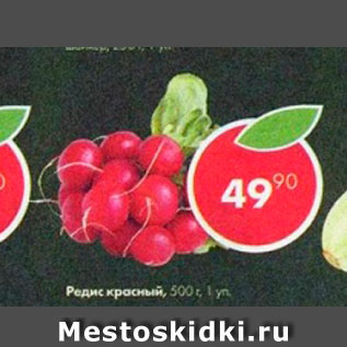 Акция - Редис красный