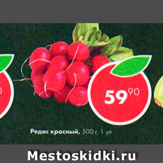 Акция - редис красный