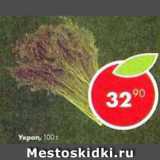 Магазин:Пятёрочка,Скидка:укроп