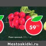 Магазин:Пятёрочка,Скидка:редис красный