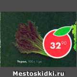 Магазин:Пятёрочка,Скидка:Укроп