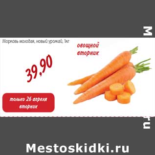 Акция - Морковь молодая, новый урожай