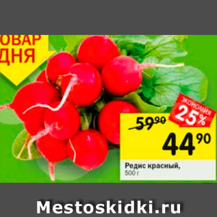 Акция - Редис красный