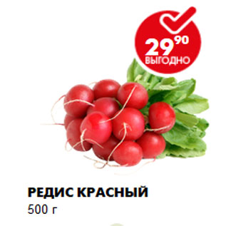 Акция - РЕДИС КРАСНЫЙ