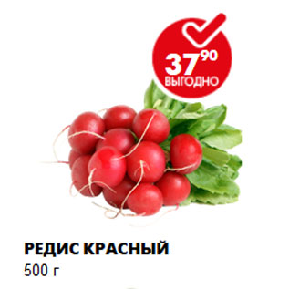 Акция - РЕДИС КРАСНЫЙ