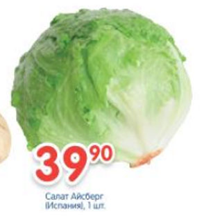 Акция - Салат Айсберг Испания