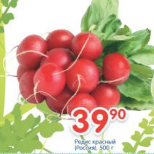 Акция - Редис красный