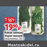 Магазин:Виктория,Скидка:Кинза свежая/
Укроп свежий
подложка, 30 г 