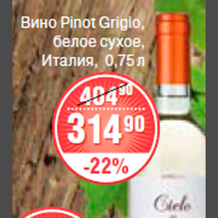 Акция - вино Pinot grigio