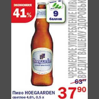 Акция - Пиво Hoegaarden