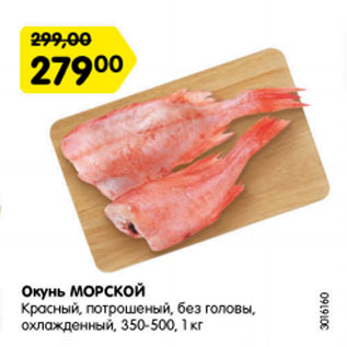 Акция - Окунь Морской красный, потрошеный без головы, охл. 350-500, 1 кг