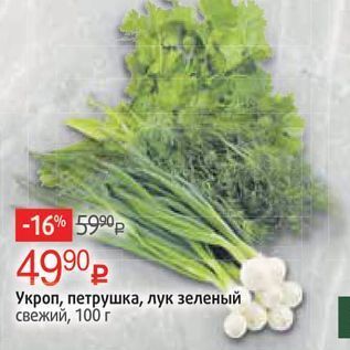 Акция - Укроп, петрушка, лук зеленый свежий,