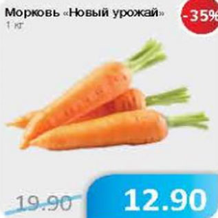 Акция - Морковь Новый урожай