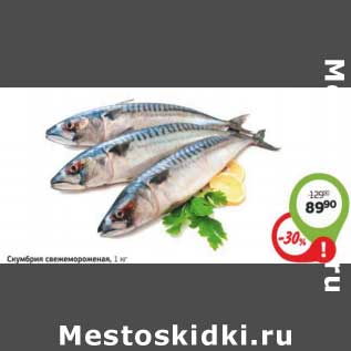Магазин Рыбка Кемерово