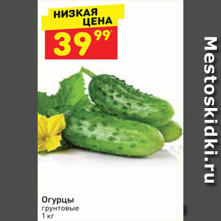 Акция - Огурцы грунтовые 1 кг