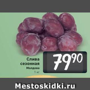 Акция - Слива сезонная Молдова 1 кг