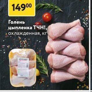 Акция - Голень цыпленка ТЧН!, охлажденная, кг