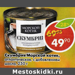 Акция - Скумбрия Морской котик, атлантическая,