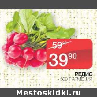 Акция - Редис
