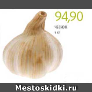 Акция - Чеснок