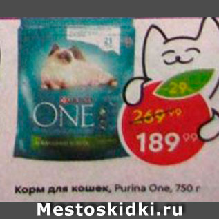 Акция - Корм для кошек Purina One