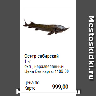 Акция - Осетр сибирский 1 кг охл., неразделанный