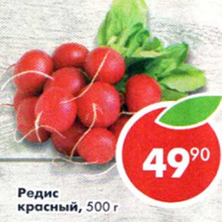 Акция - Редис красный