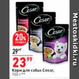 Магазин:Окей супермаркет,Скидка:Корм для собак Cesar