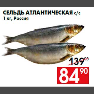 Акция - Сельдь атлантическая с/с 1 кг, Россия