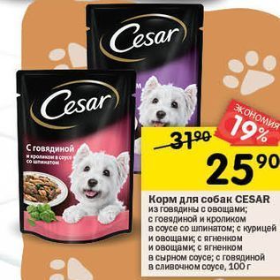 Акция - Корм для собак CESAR
