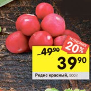 Акция - Редис красный