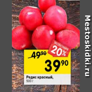 Акция - Редис красный