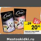 Магазин:Перекрёсток,Скидка:Корм для собак Cesar 