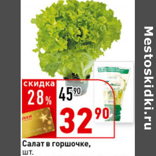 Акция - Салат в горшочке,