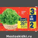 Магазин:Метро,Скидка:Салат премиум
в горшочке
