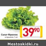Магазин:Билла,Скидка:салат Фриллис в горшочке