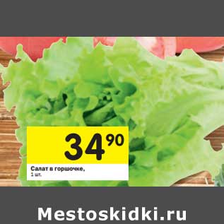 Акция - Салат в горшочке