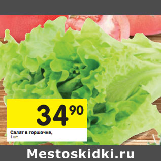 Акция - Салат в горшочке