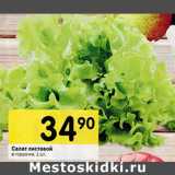 Магазин:Перекрёсток,Скидка:Салат листовой в горшочке