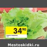 Магазин:Перекрёсток,Скидка:Салат в горшочке 