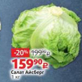 Акция - Салат Айсберг 1 кг