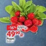 Виктория Акции - Редис 500 г