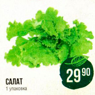 Акция - Салат