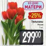 Магазин:Билла,Скидка:Tюльпаны Россия 7 шт