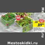 Магазин:Перекрёсток,Скидка:Салат Месклам, Лоло Бьенда + Лосо Росса / Родичио + Руккола 