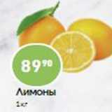 Авоська Акции - Лимоны