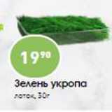 Магазин:Авоська,Скидка:Зелень укропа